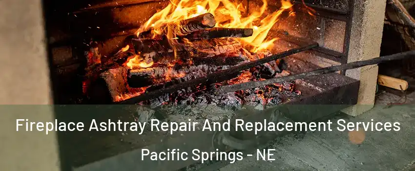 Fireplace Ashtray Repair And Replacement Services Pacific Springs - NE