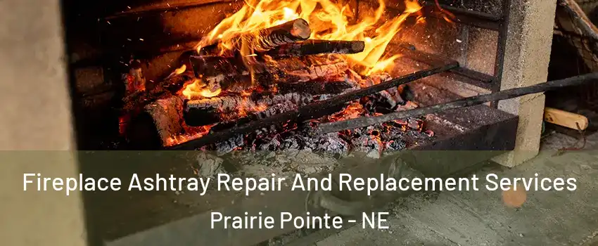 Fireplace Ashtray Repair And Replacement Services Prairie Pointe - NE