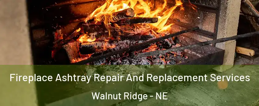 Fireplace Ashtray Repair And Replacement Services Walnut Ridge - NE