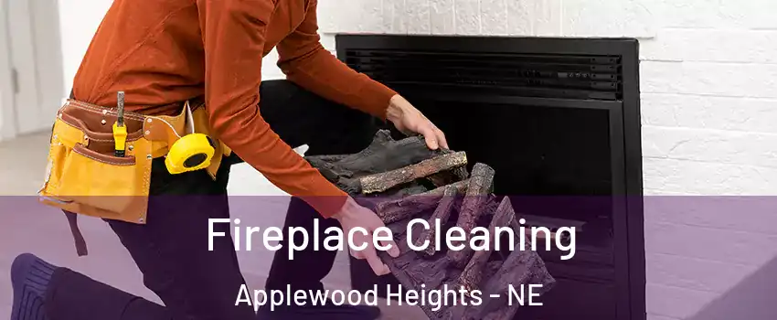 Fireplace Cleaning Applewood Heights - NE