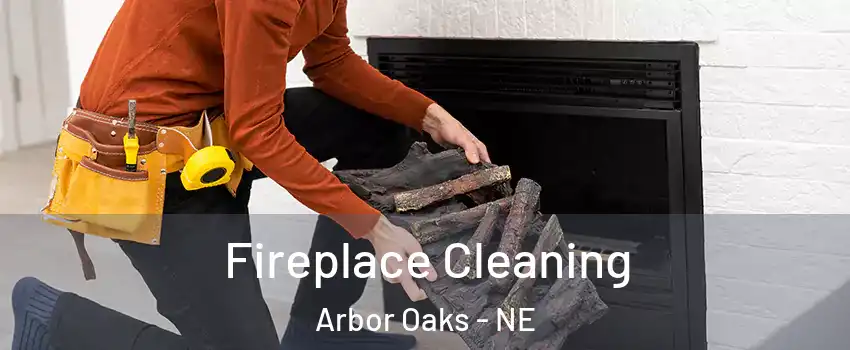 Fireplace Cleaning Arbor Oaks - NE