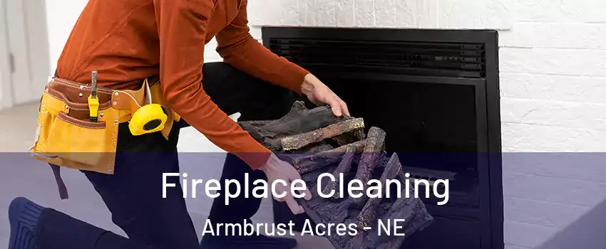 Fireplace Cleaning Armbrust Acres - NE