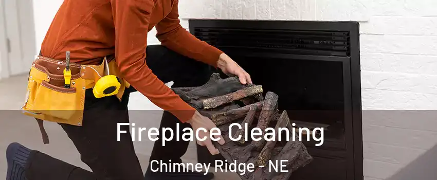 Fireplace Cleaning Chimney Ridge - NE