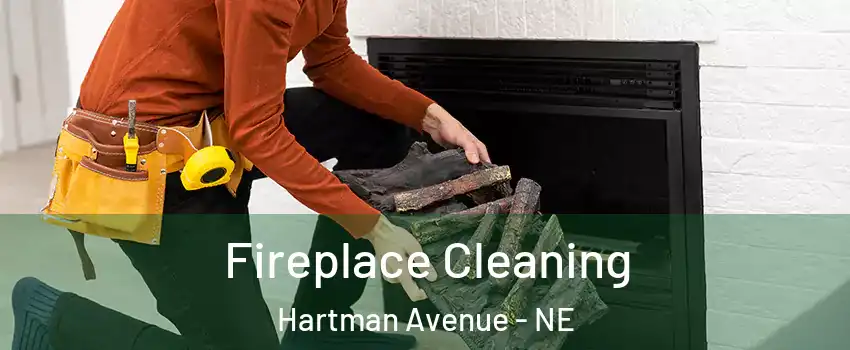Fireplace Cleaning Hartman Avenue - NE