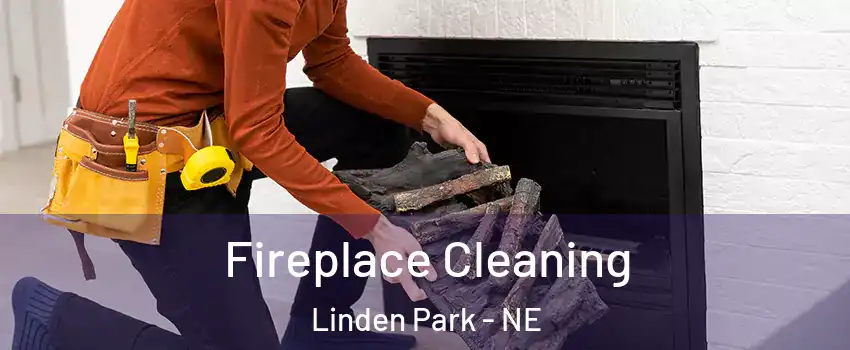 Fireplace Cleaning Linden Park - NE