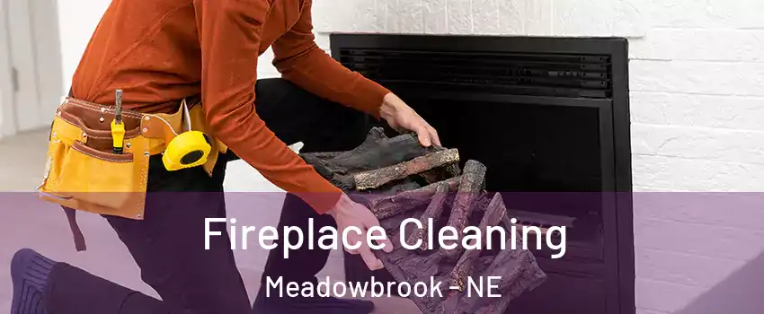 Fireplace Cleaning Meadowbrook - NE