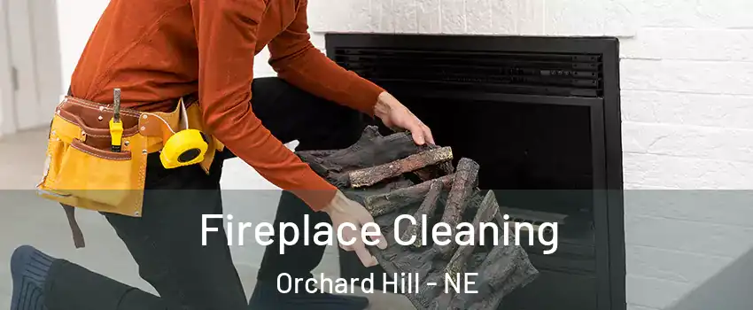 Fireplace Cleaning Orchard Hill - NE