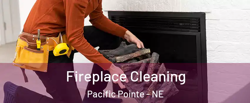 Fireplace Cleaning Pacific Pointe - NE