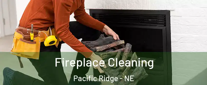 Fireplace Cleaning Pacific Ridge - NE