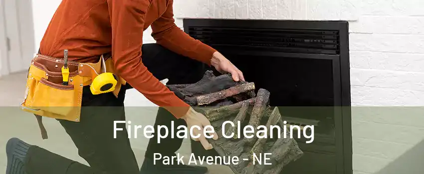 Fireplace Cleaning Park Avenue - NE