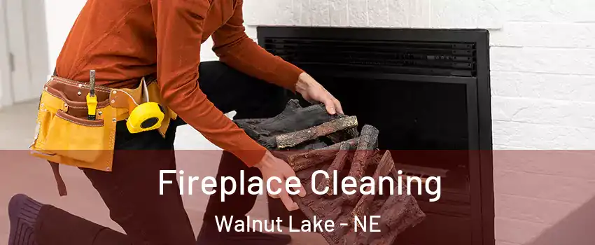 Fireplace Cleaning Walnut Lake - NE
