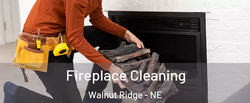 Fireplace Cleaning Walnut Ridge - NE