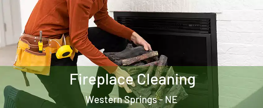Fireplace Cleaning Western Springs - NE