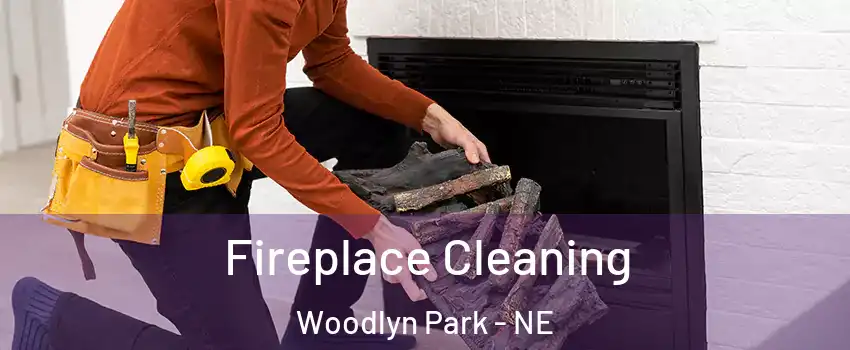 Fireplace Cleaning Woodlyn Park - NE