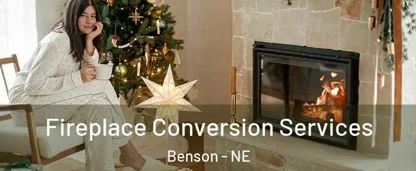 Fireplace Conversion Services Benson - NE