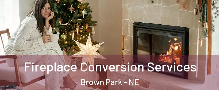 Fireplace Conversion Services Brown Park - NE