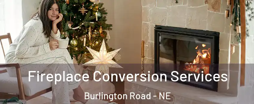 Fireplace Conversion Services Burlington Road - NE