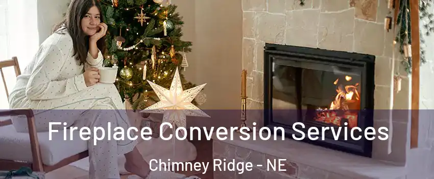 Fireplace Conversion Services Chimney Ridge - NE