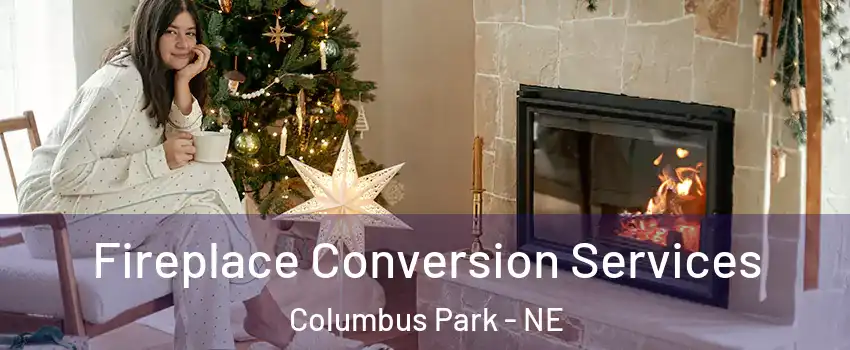Fireplace Conversion Services Columbus Park - NE