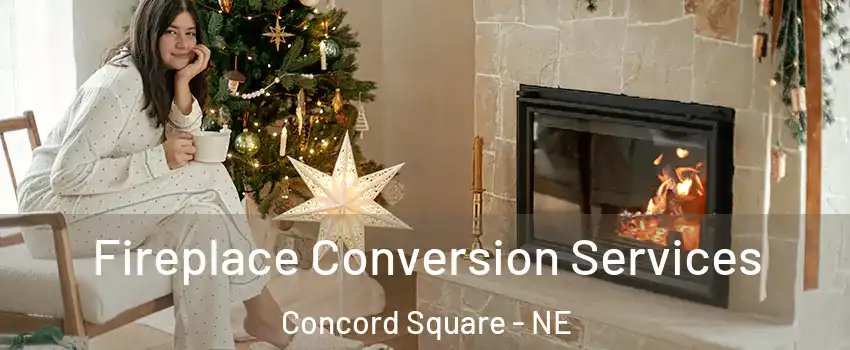Fireplace Conversion Services Concord Square - NE