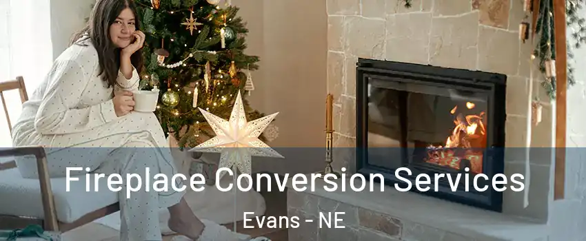 Fireplace Conversion Services Evans - NE