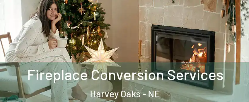 Fireplace Conversion Services Harvey Oaks - NE