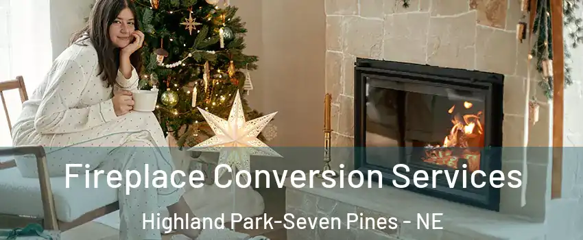 Fireplace Conversion Services Highland Park-Seven Pines - NE