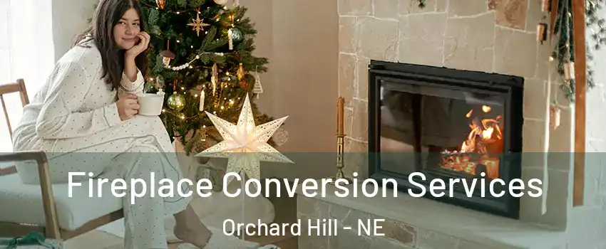 Fireplace Conversion Services Orchard Hill - NE