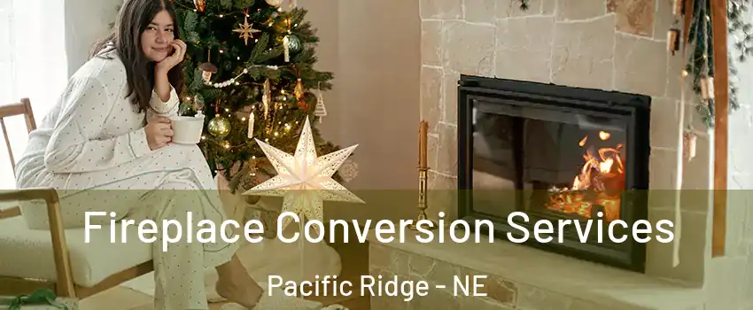 Fireplace Conversion Services Pacific Ridge - NE