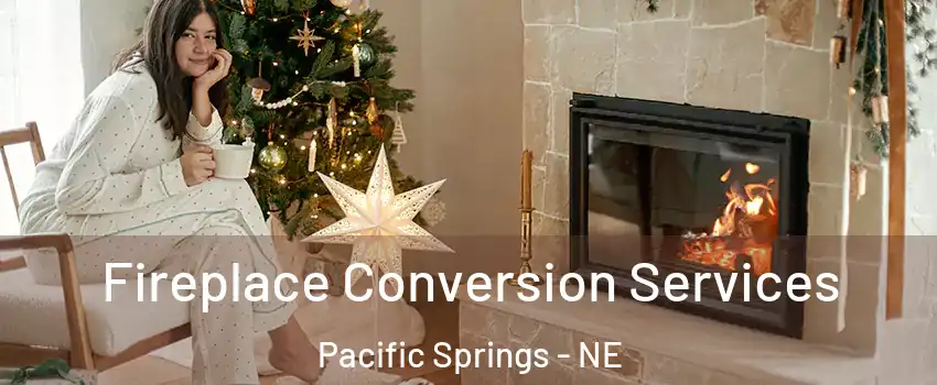 Fireplace Conversion Services Pacific Springs - NE