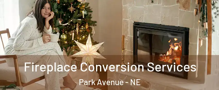 Fireplace Conversion Services Park Avenue - NE