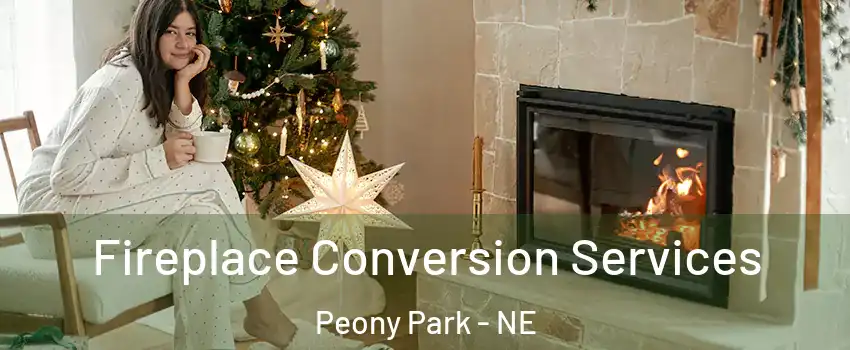 Fireplace Conversion Services Peony Park - NE