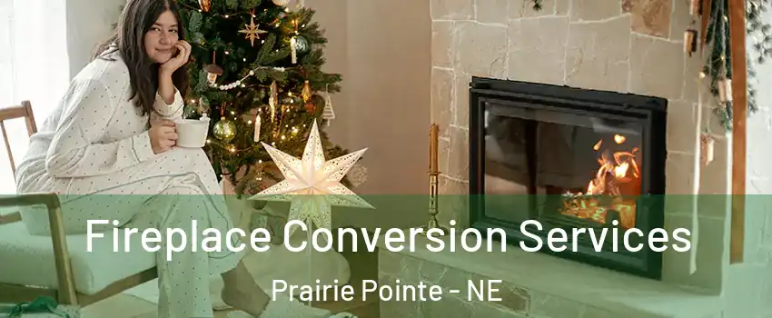 Fireplace Conversion Services Prairie Pointe - NE