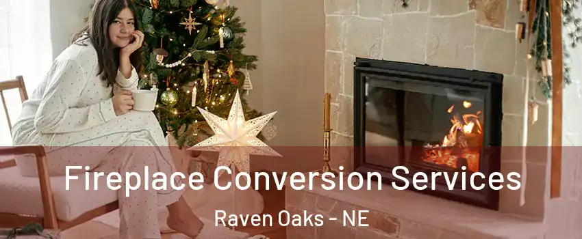 Fireplace Conversion Services Raven Oaks - NE