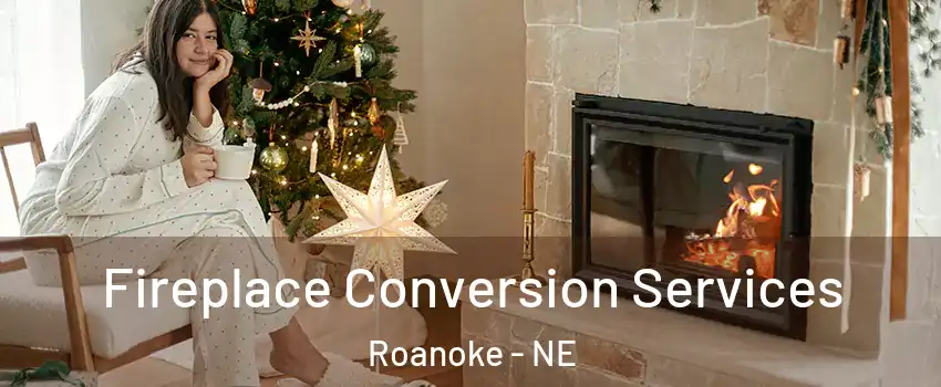 Fireplace Conversion Services Roanoke - NE
