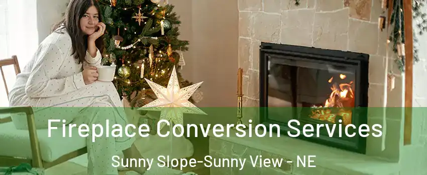 Fireplace Conversion Services Sunny Slope-Sunny View - NE