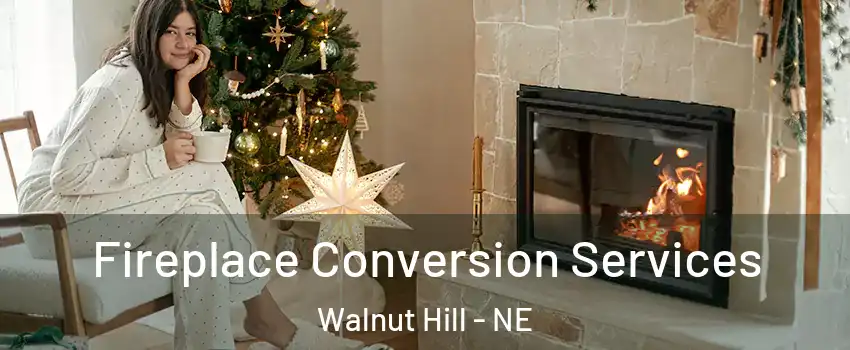Fireplace Conversion Services Walnut Hill - NE