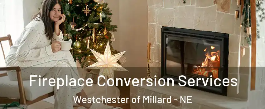 Fireplace Conversion Services Westchester of Millard - NE