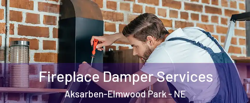 Fireplace Damper Services Aksarben-Elmwood Park - NE