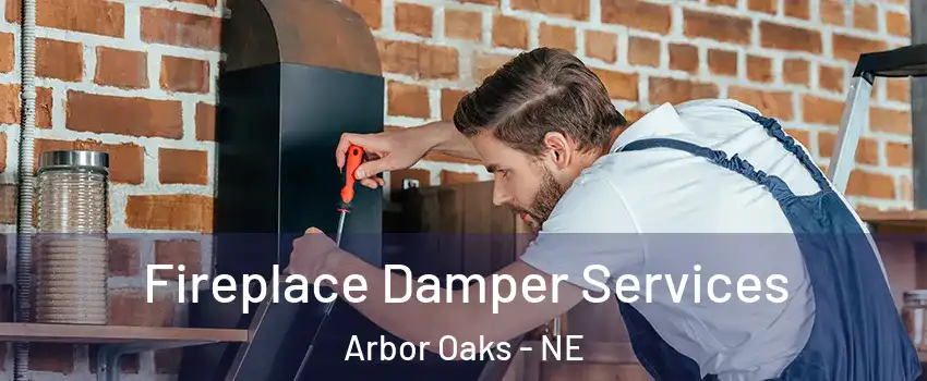 Fireplace Damper Services Arbor Oaks - NE