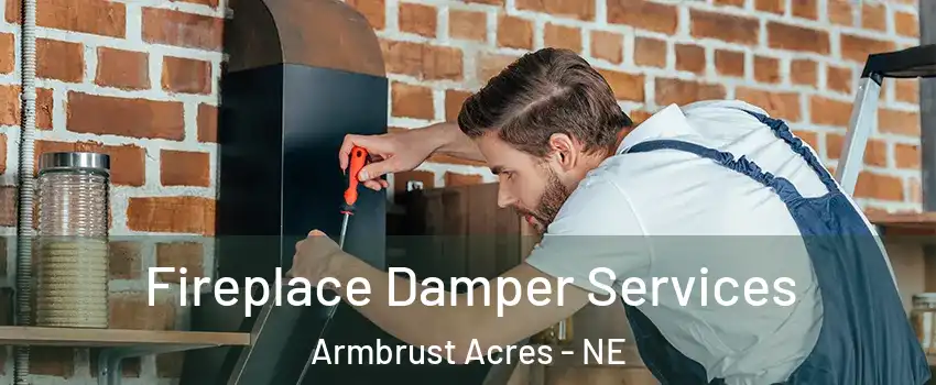 Fireplace Damper Services Armbrust Acres - NE