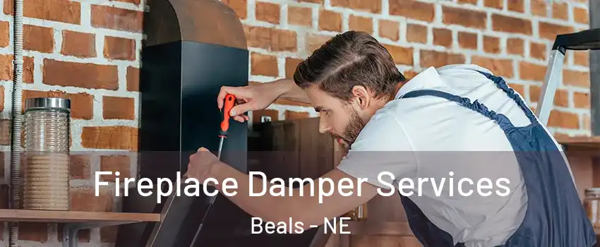 Fireplace Damper Services Beals - NE