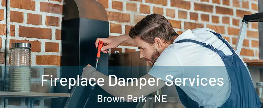 Fireplace Damper Services Brown Park - NE