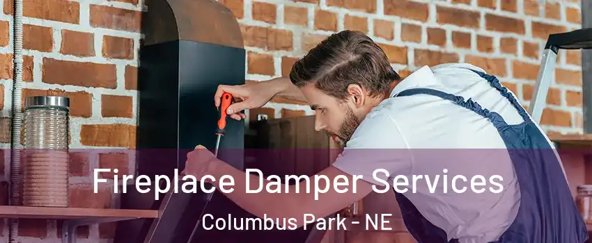 Fireplace Damper Services Columbus Park - NE