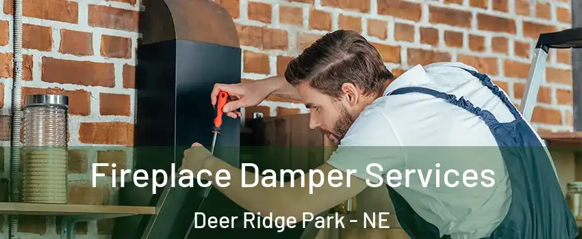 Fireplace Damper Services Deer Ridge Park - NE