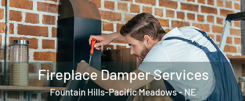 Fireplace Damper Services Fountain Hills-Pacific Meadows - NE