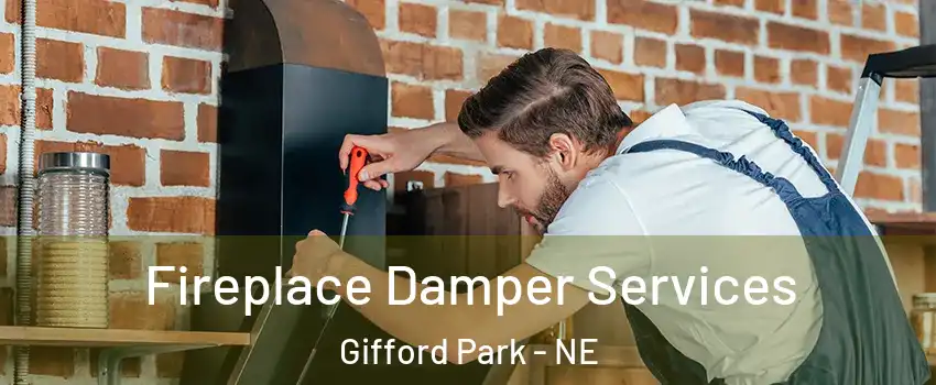 Fireplace Damper Services Gifford Park - NE
