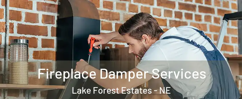 Fireplace Damper Services Lake Forest Estates - NE