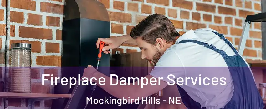Fireplace Damper Services Mockingbird Hills - NE