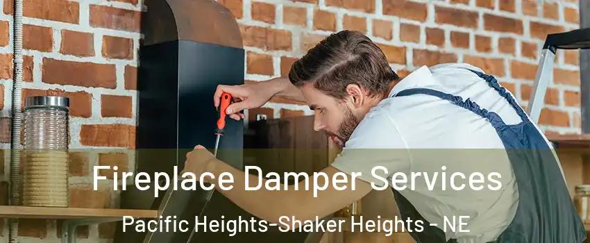 Fireplace Damper Services Pacific Heights-Shaker Heights - NE